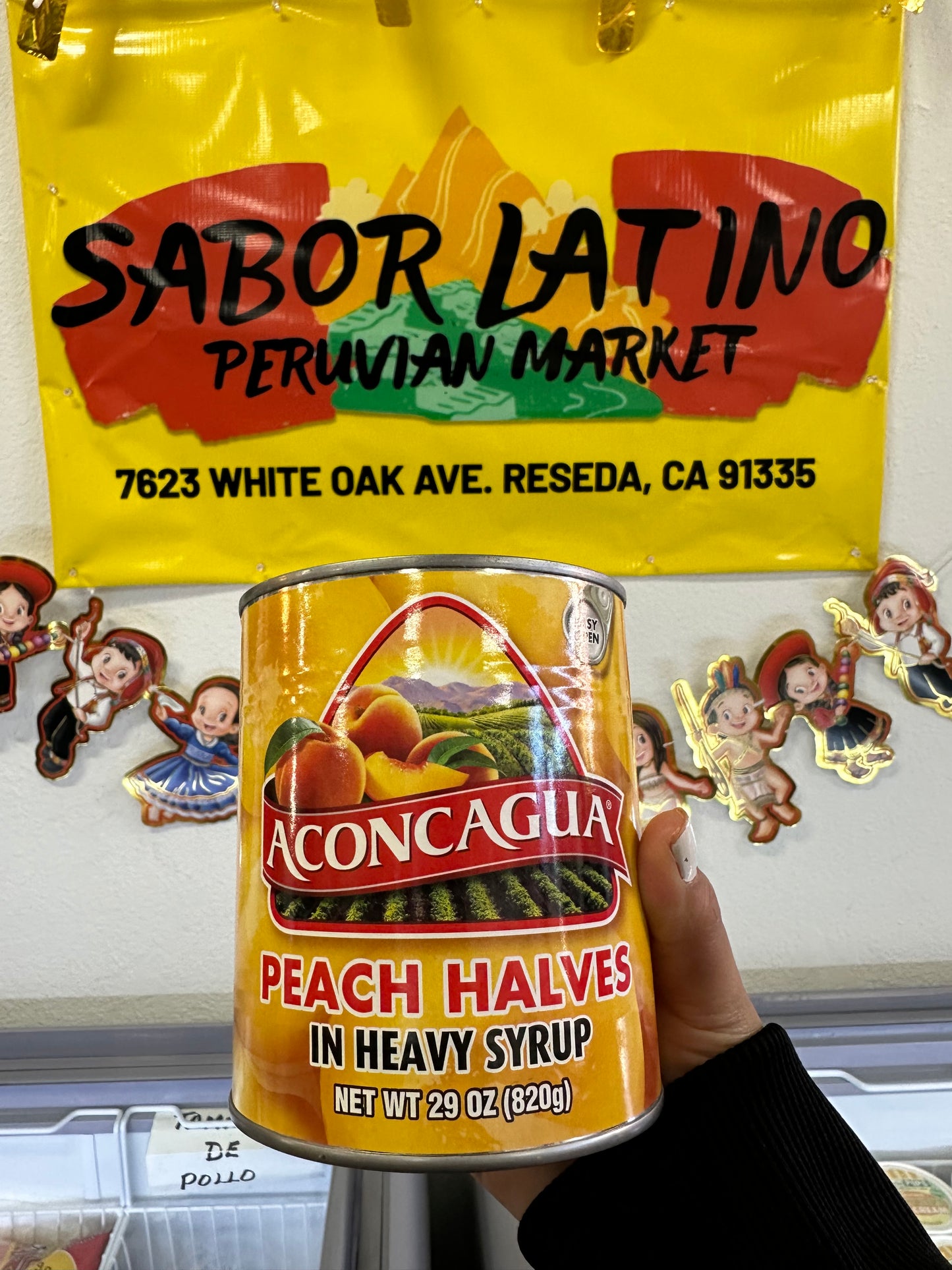 Aconcagua Peach Halves (280g)